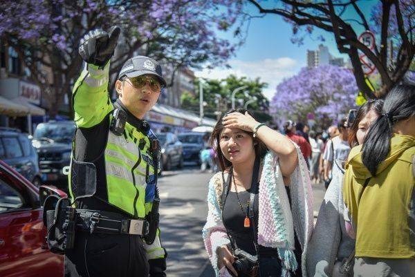 昆明警方：今年蓝花楹开放以来 教场路核心赏花区刑事警情零接报